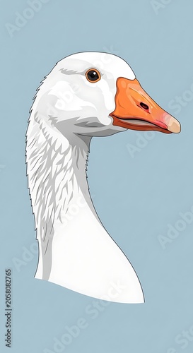 White seagull with orange beak standing on a blue background.