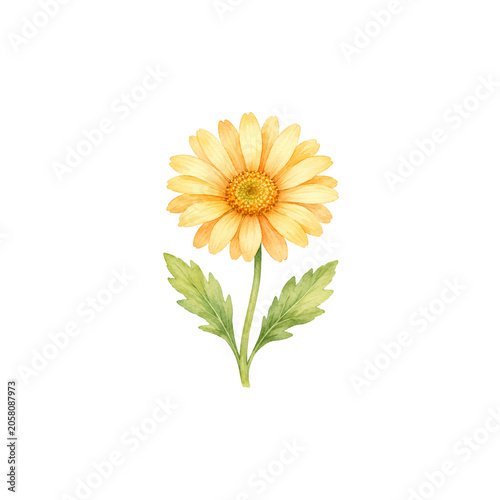 Cute Honey Bee Watercolor Clipart Set with Beehive, Honey Jar, Honeycomb, Flowers and Rainbow
