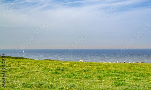 Obraz na plátně The shore of the English Channel, Cap Gris Nez, Pas-de-Calais, France