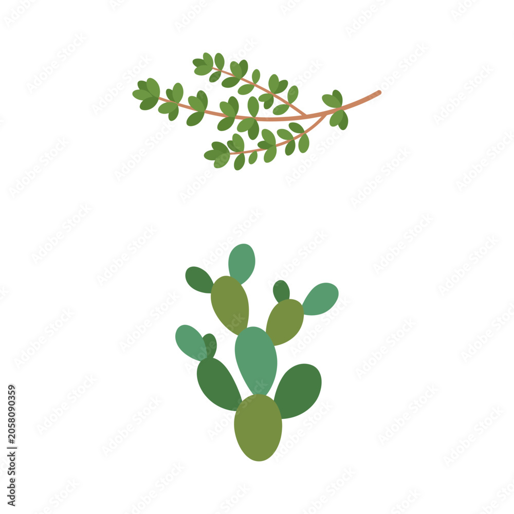 Obraz premium Tiny Green Plant Branch and Flat Illustration of a Segmented Cactus Stem on White Background