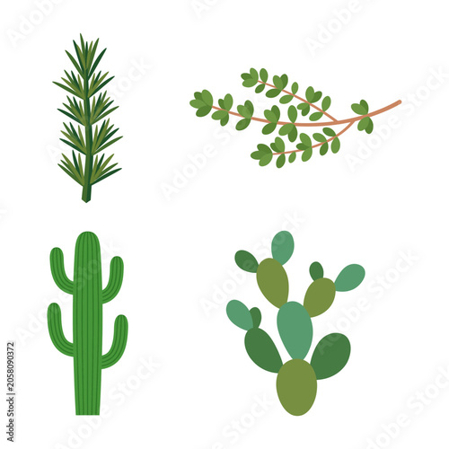 Fotografie Collection of stylized green cacti and herbs, perfect for illustrations and natu