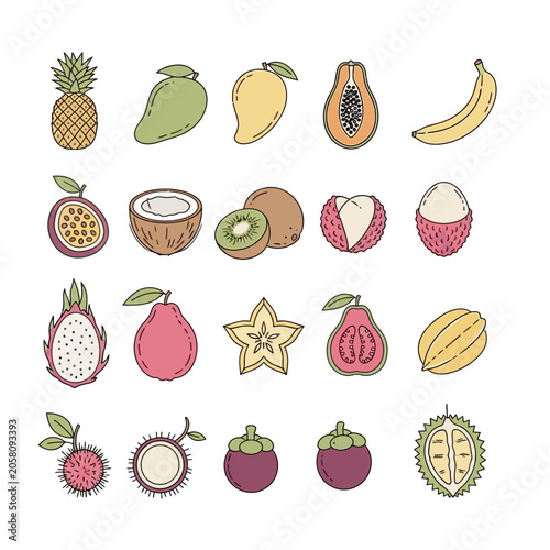 Tropical fruits colorful illustration with pineapple mango papaya and banana