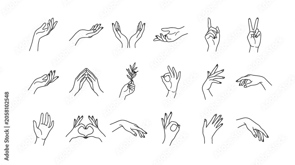 Fototapeta premium Minimalist hand line drawing set representing various gestures and delicate poses for creative artistic projects and design.