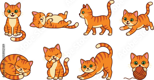 Obraz na plátně Cute ginger tabby cat collection featuring playful sleeping stretching grooming