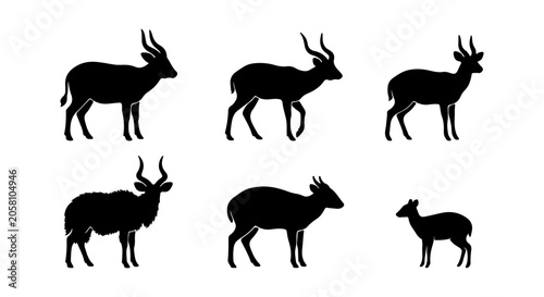 Foto Antelope silhouette icon set, white background, vector Illustration
