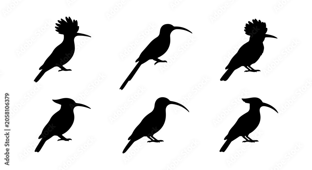 Fototapeta premium Hoopoe bird silhouette icon set, white background, vector Illustration