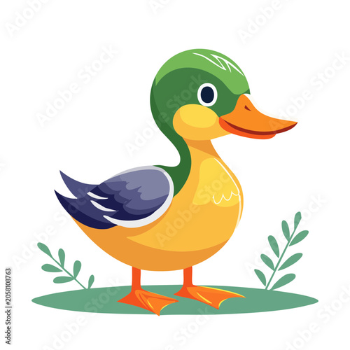 Cartoon Mallard Duck Illustration