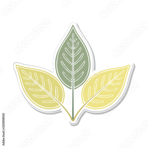 Three stylized leaves in flat design