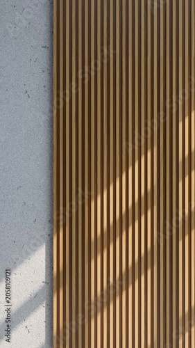 Walnut Slat + Window Shadow Loop