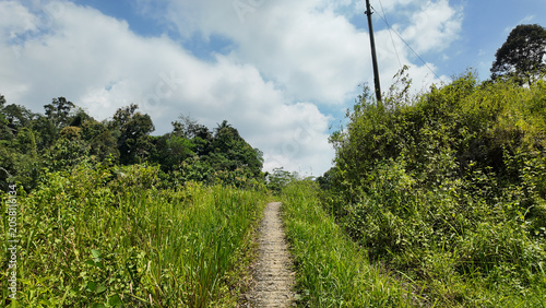 A narrow dirt pathway winding through lush green vegetation under a partly cloudy sky in a natural landscape