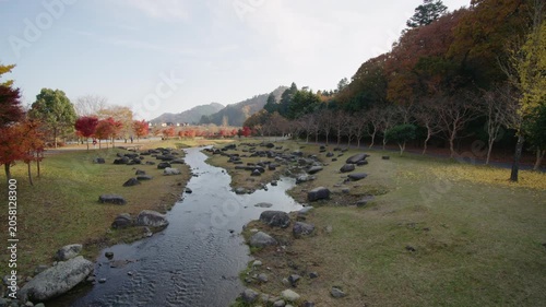 秋の宮ヶ瀬湖畔園地 紅葉 Autumn foliage at Miyagase Lakeside Park