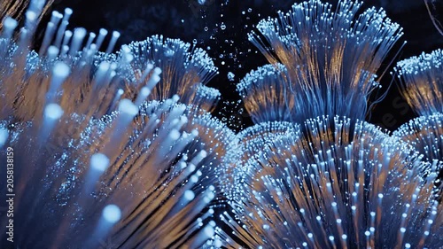 Close-up of glowing blue fiber optics.