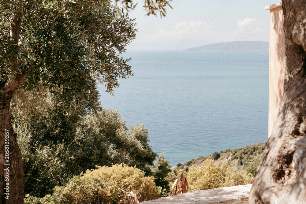 Fototapeta premium Calm blue sea at the horizon viewed from a hillside terrace through olive trees for mediterranean travel advertising, summer vacation lifestyle and hospitality design