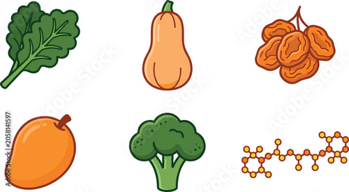 Photos Healthy Vitamin Rich Food Icon Set Featuring Kale, Butternut Squash, Dried Apric