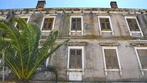 Weathered Historic Building Facade with Palm Tree and Wooden Shutters, Adriatic Coast, Croatia
