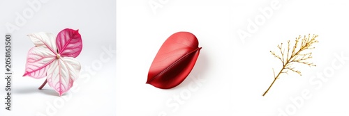 Three leaves displayed. Pink, red, gold hues present. Minimalist composition, white background. Delicate textures visible.