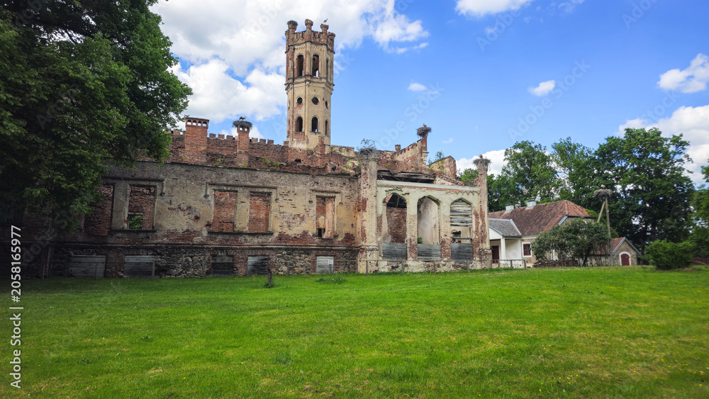 Fototapeta premium Stork Nests Atop Crumbling Stone Tower