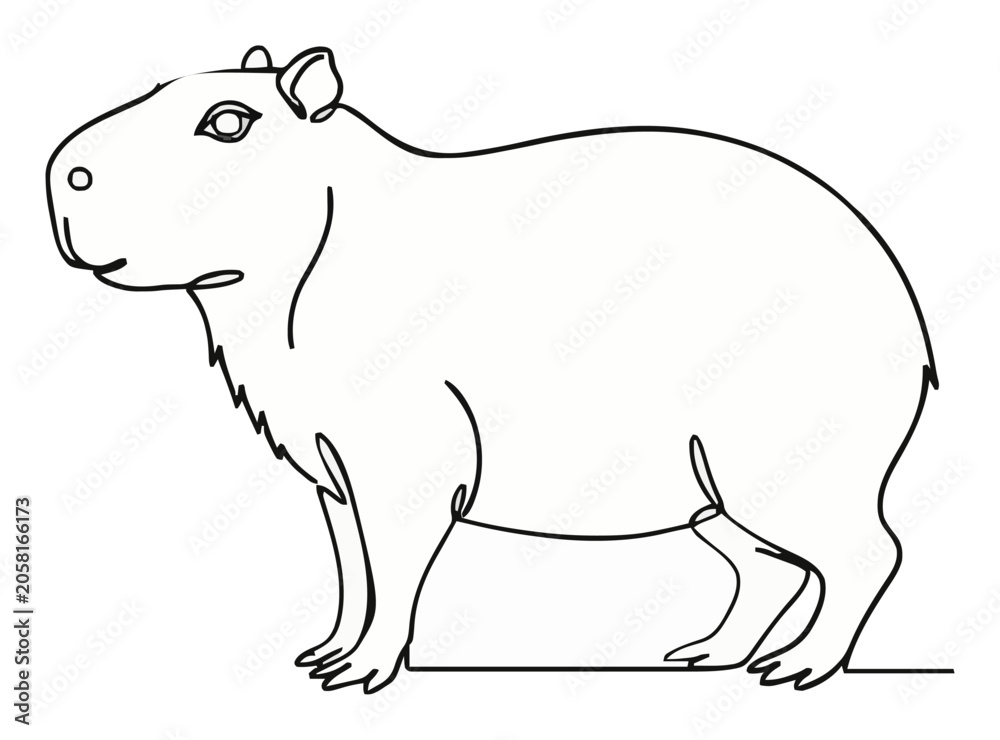 Obraz premium Capybara animal vector illustration on white background. Generative AI