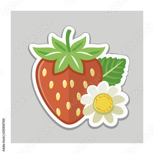 Strawberry and Daisy Sticker Illustration