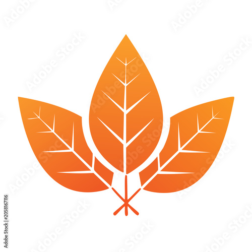 Three orange maple leaves icon on transparent background