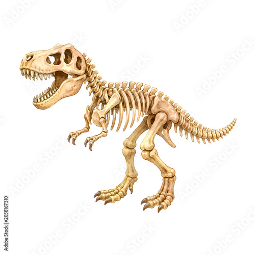 Cute Baby Dinosaur Watercolor Clipart Set with Dino Eggs, Fossil, Footprints and Volcano