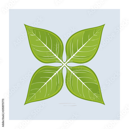 Four Green Leaves Symmetrical Illustration