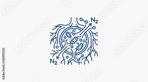 Fotografía Microscopic illustration of nitrogen fixation in plant roots.