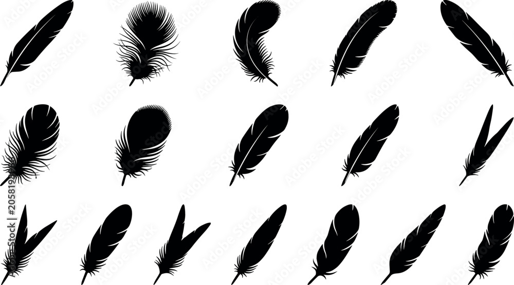 Obraz premium Black feather silhouette vector icon set featuring detailed bird quills fluffy plumes eagle wing down tail feathers and bohemian tribal graphic design elements.