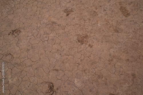 Foto Cracked Dried Mud Texture, Dry Lake Bed, Australian Outback Queensland