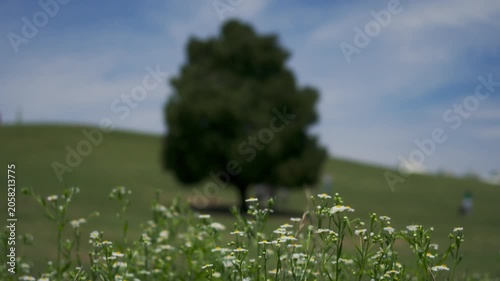 Summer landscape at Olympic Park in Seoul with Lotte World Tower in the background, featuring rolling green grass hills