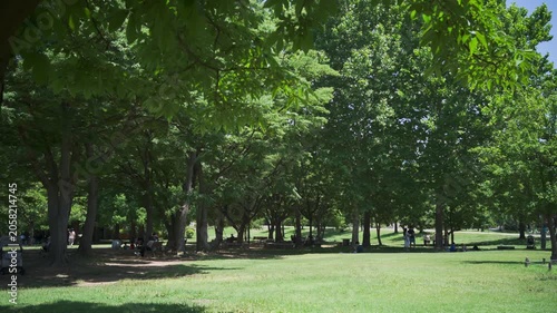 ravel in South Korea: Summer landscape of Seoul Olympic Park with people resting peacefully under the tree canopy.