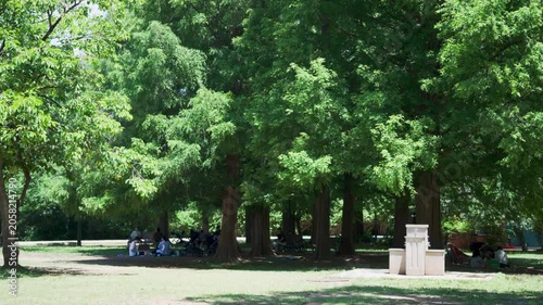 Peaceful afternoon scene at Olympic Park in Seoul, South Korea with people relaxing in the shade of lush green trees