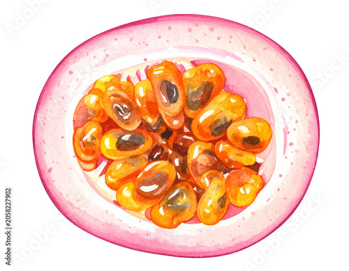 Watercolor illustration of halved passion fruit with orange glossy pulp black seeds and pink tropical rind on isolated background