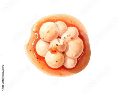 Watercolor illustration of round mozzarella cheese balls in creamy tomato sauce with glossy appetizer and Italian food detail on isolated background