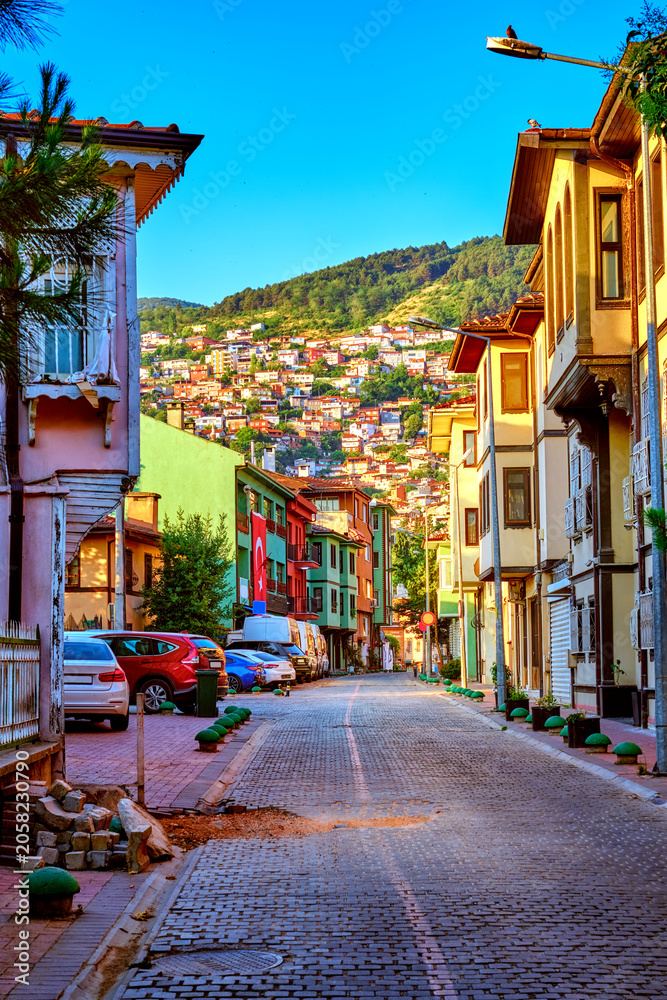 Fototapeta premium Traditional Houses in Historic Bursa with View of Uludag Mountain, Turkey