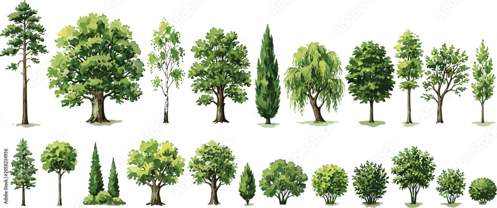 Fototapeta premium Comprehensive Realistic Tree and Shrub Vector Collection Featuring Oak Pine Cypress and Willow for Landscape Architecture Garden Design Planning and Environmental Illustration Projects