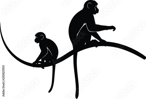 Photography Silhouette of mother and baby monkey sitting on curved tree branch isolated on w