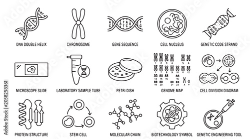 Εκτύπωση καμβά Genetic engineering icons, biotechnology symbols, molecular biology illustration