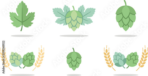 Tableau sur toile Set of hops and barley illustrations symbolizing beer brewing ingredients in mod