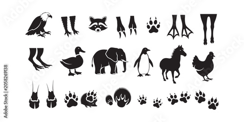 Animal Footprints and Silhouettes Icon Set — Wildlife Tracks, Bird Feet, Paw Prints and Hoof Marks