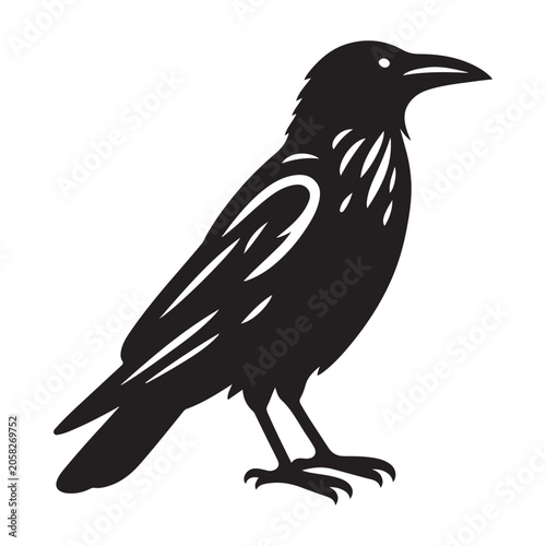Black bird, crow, silhouette, vector icon, animal illustration isolated on White Background