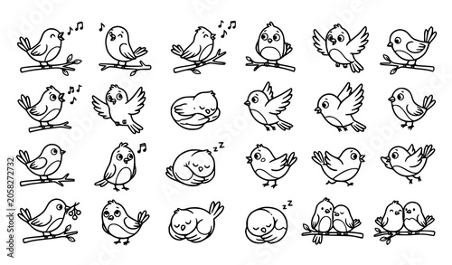 Canvas Print Cute bird doodle collection featuring hand drawn flying perched and singing bird