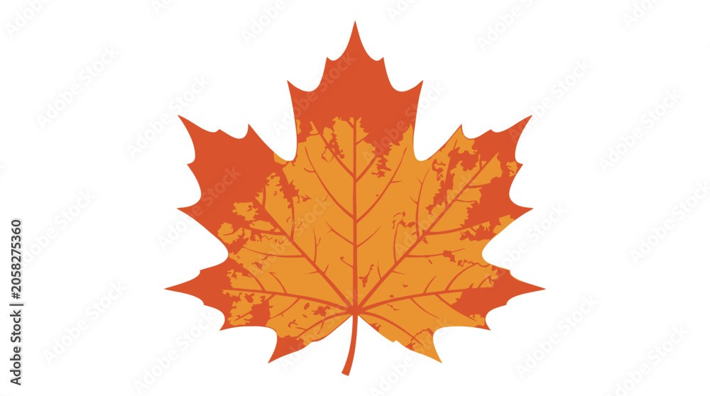 Obraz premium Vibrant Orange Maple Leaf Closeup.