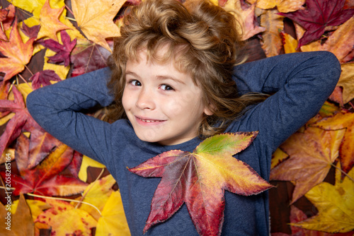 Obraz na plátne Autumn kid portrait in fall leaf park