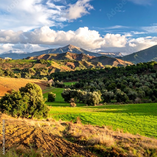 A serene landscape of rolling hills with lush green fields and trees under a blue sky with fluffy white clouds