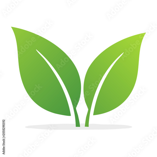 Green leaf flat design isolated