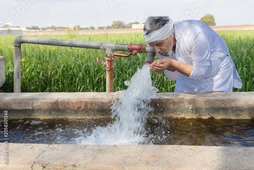 Indian farmer drinking fresh water from tube well irrigation pipe in agricultural field, rural life, farming, groundwater, crop irrigation, water supply, and agriculture in India