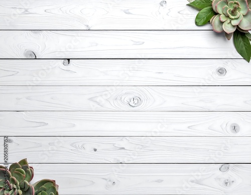A close-up photo of succulents on a white wooden background