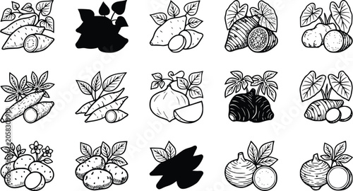 Cuadro en lienzo Hand Drawn Root Vegetables Icons Collection – Cassava, Taro, Yam, Potato and Tur