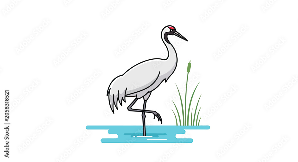Fototapeta premium Elegant white crane bird standing in wetland water.